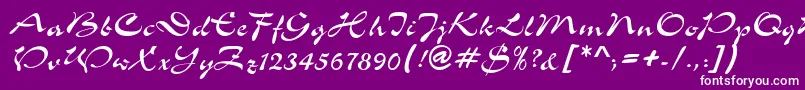 ShowerdbNormal Font – White Fonts on Purple Background