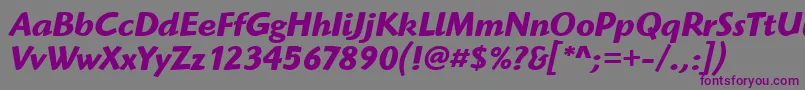 HighlanderItcTtBolditalic Font – Purple Fonts on Gray Background