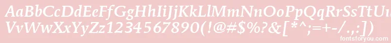 MendozaRomanItcMediumItalic Font – White Fonts on Pink Background