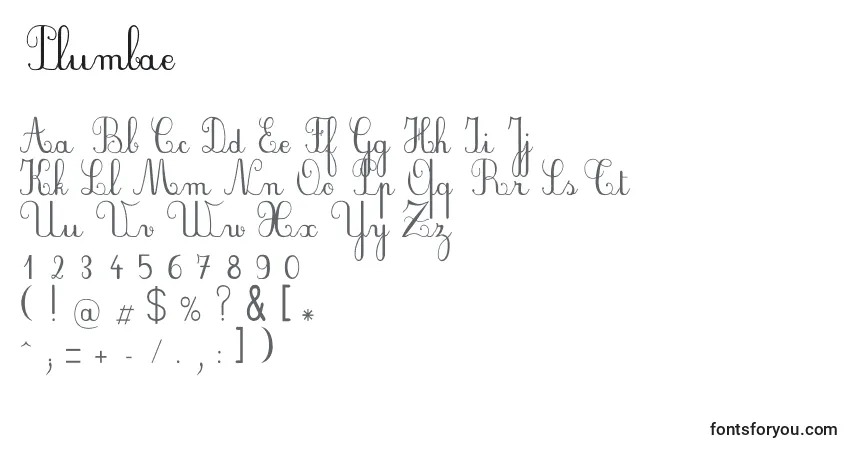 characters of plumbae font, letter of plumbae font, alphabet of  plumbae font