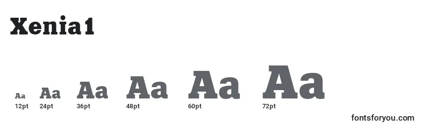 sizes of xenia1 font, xenia1 sizes