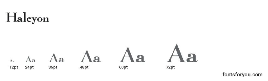 sizes of halcyon font, halcyon sizes