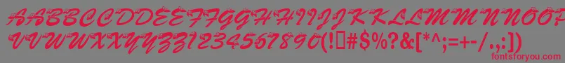 Kasnake Font – Red Fonts on Gray Background