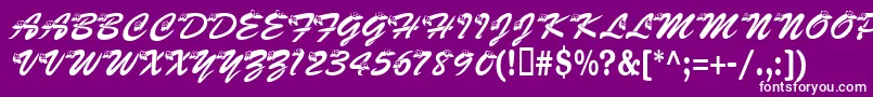 Kasnake Font – White Fonts on Purple Background