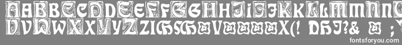 RudelsbergInitialen Font – White Fonts on Gray Background