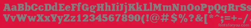 Xenia1 Font – Gray Fonts on Red Background