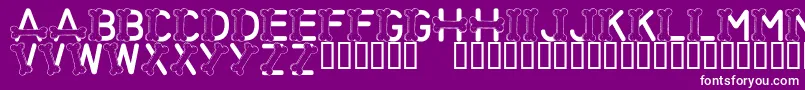 LmsThisFontIsForTheDogs Font – White Fonts on Purple Background