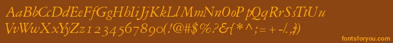 GaramondrepriseossskItalic Font – Orange Fonts on Brown Background