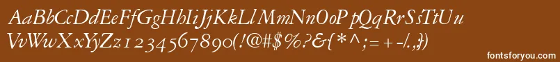 GaramondrepriseossskItalic Font – White Fonts on Brown Background