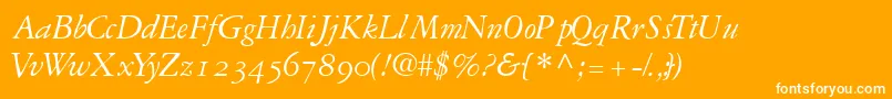 フォントGaramondrepriseossskItalic – オレンジの背景に白い文字