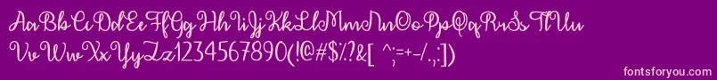DecemberCalligraphyOtf Font – Pink Fonts on Purple Background