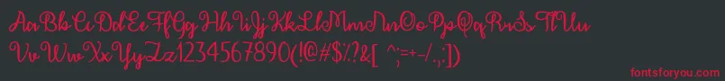DecemberCalligraphyOtf Font – Red Fonts on Black Background