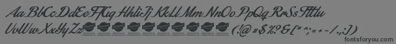 StainyPersonaluseonly Font – Black Fonts on Gray Background