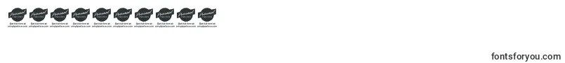 StainyPersonaluseonly Font – Fonts for Numbers and Digits