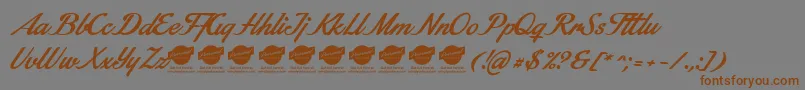 StainyPersonaluseonly Font – Brown Fonts on Gray Background