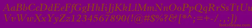 HorleyOsMtSemiboldItalic Font – Brown Fonts on Purple Background