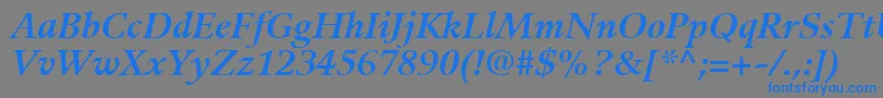 GuardiLt76BoldItalic Font – Blue Fonts on Gray Background