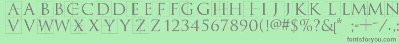 Trajanusbricks Font – Gray Fonts on Green Background