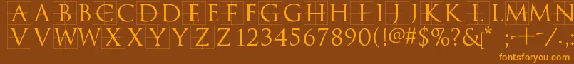 Trajanusbricks Font – Orange Fonts on Brown Background