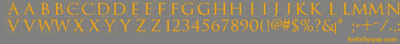 Más sobre la fuente Trajanusbricks fuente Trajanusbricks – Fuentes Naranjas Sobre Fondo Gris