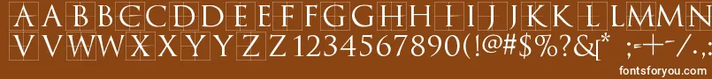 Trajanusbricks Font – White Fonts on Brown Background