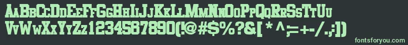 Cosmicflushtext8Bold Font – Green Fonts on Black Background