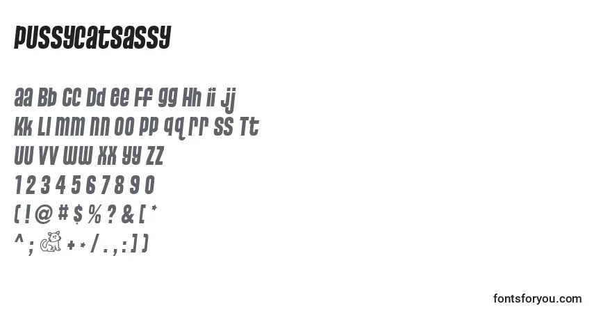 Шрифт PussycatSassy – алфавит, цифры, специальные символы