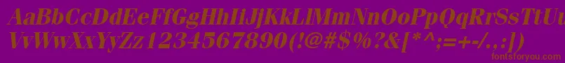 CompendiumSsiBoldItalic Font – Brown Fonts on Purple Background