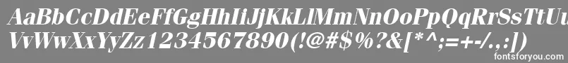 フォントCompendiumSsiBoldItalic – 灰色の背景に白い文字