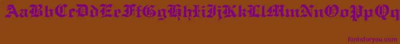 OldCologneRegular-Schriftart – Violette Schriften auf braunem Hintergrund