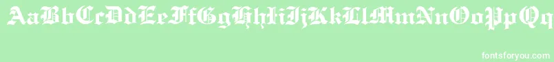 OldCologneRegular Font – White Fonts on Green Background