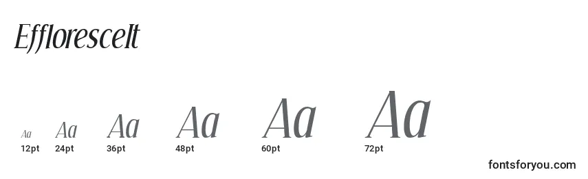 EffloresceIt Font Sizes