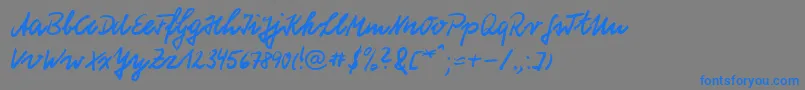 フォントHwSchneidDb – 灰色の背景に青い文字