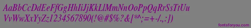 XeroxSerifNarrowItalic Font – Purple Fonts on Gray Background