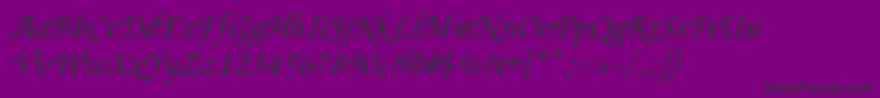 Zapfchi Font – Black Fonts on Purple Background