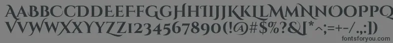 Шрифт CinzeldecorativeBold – чёрные шрифты на сером фоне