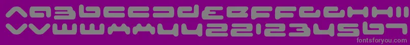 Seniorservice Font – Gray Fonts on Purple Background