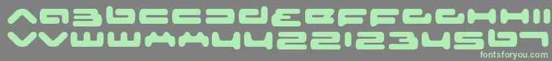 Seniorservice Font – Green Fonts on Gray Background