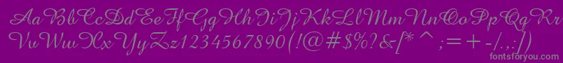 Amazonen Font – Gray Fonts on Purple Background