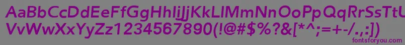 FredericBoldItalic Font – Purple Fonts on Gray Background