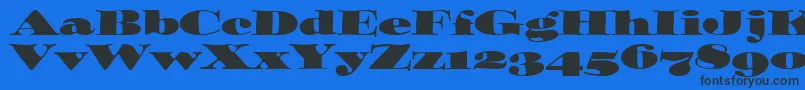 OzwaldOsItcTt Font – Black Fonts on Blue Background