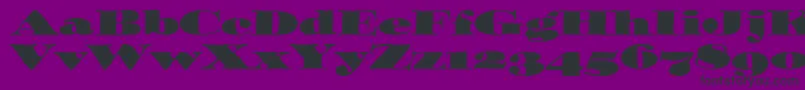 OzwaldOsItcTt Font – Black Fonts on Purple Background