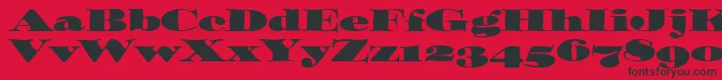 OzwaldOsItcTt Font – Black Fonts on Red Background