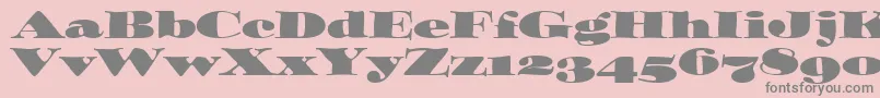 OzwaldOsItcTt Font – Gray Fonts on Pink Background