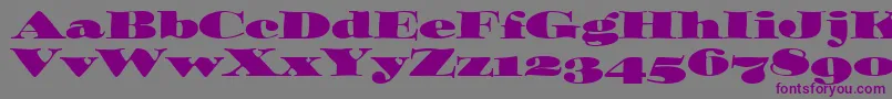 OzwaldOsItcTt-Schriftart – Violette Schriften auf grauem Hintergrund