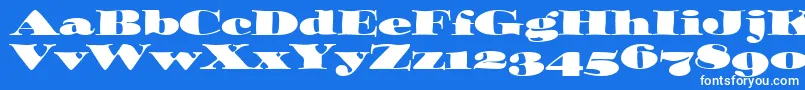 OzwaldOsItcTt Font – White Fonts on Blue Background