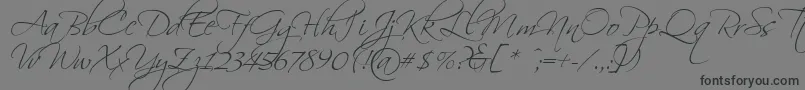 Scriptorama Font – Black Fonts on Gray Background