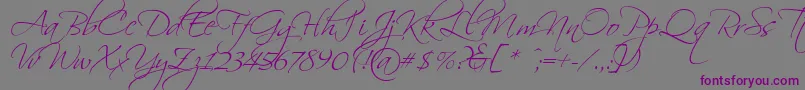 Scriptorama Font – Purple Fonts on Gray Background