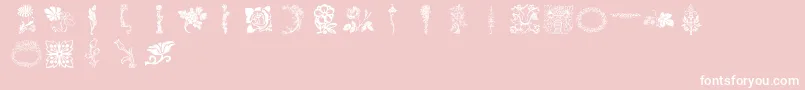 Lpflowers Font – White Fonts on Pink Background