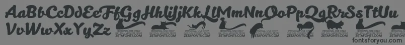 Kittenboldtrial Font – Black Fonts on Gray Background